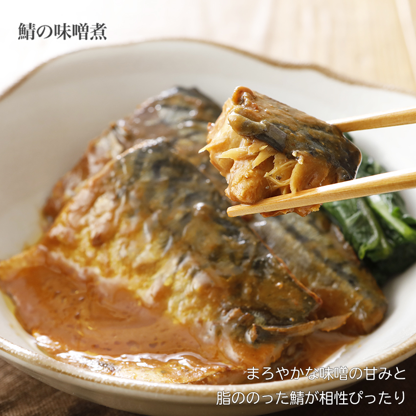 非常食 セット おかず 5年保存 肉と野菜と魚のおかずのセット 美味しい防災食 保存食 防災食 レトルト おいしい