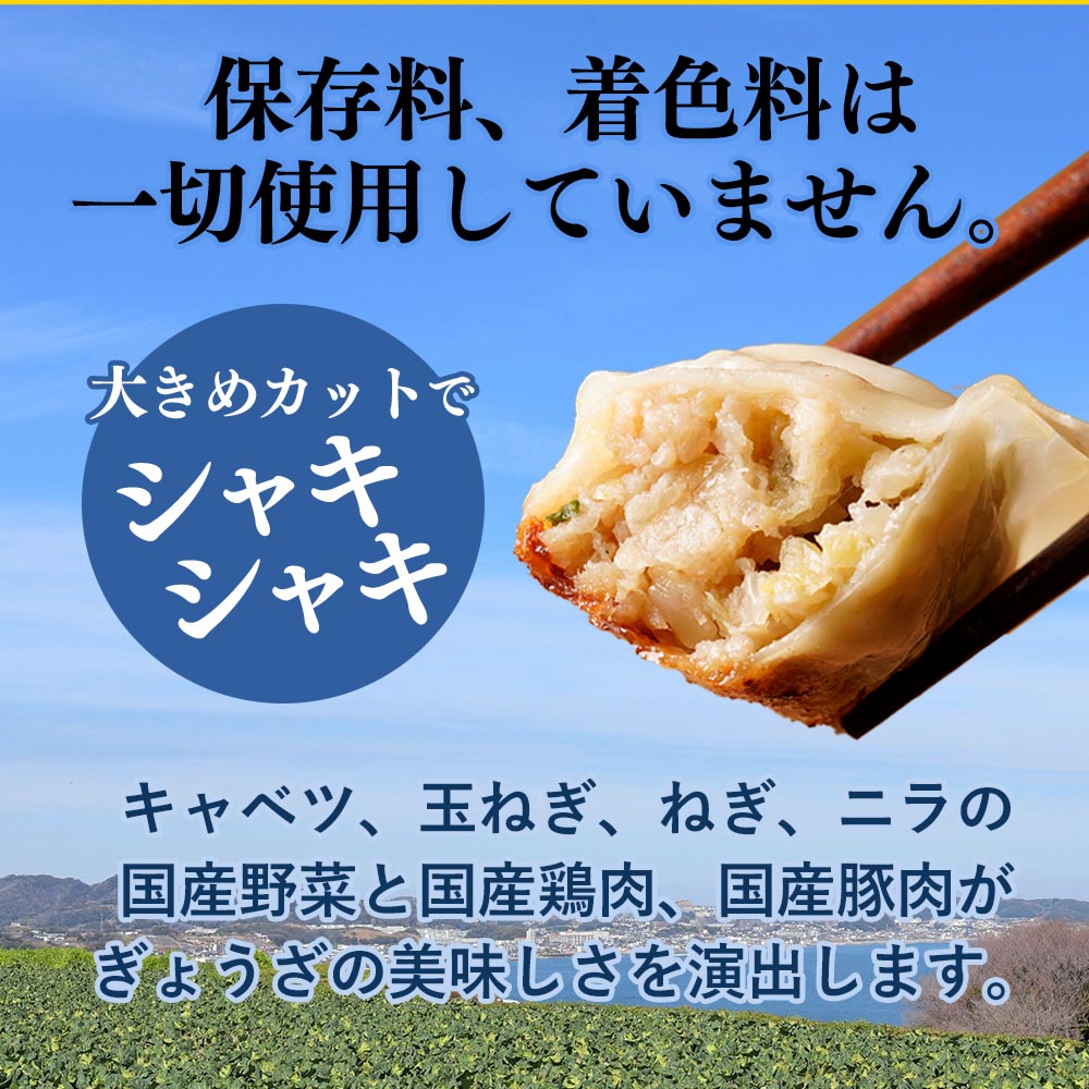 リンガーハット ぎょうざ 餃子 冷凍 冷凍食品(12個入)×4パック(送料別) 非常食ポイント 消化 送料無料 送料無 食品 ポイント消化 関連画像5