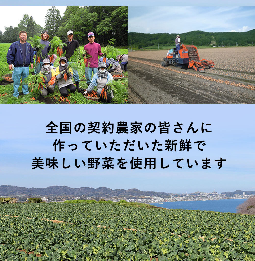 リンガーハット長崎ちゃんぽん