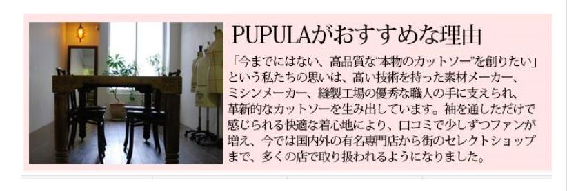 本日価格！！ PUPULA　ププラ ワンピース　30代 ファッション レディース 体型カバー (レディース/プルオーバー/ストライプ/カットソー/) 【1777535809】(10450円)