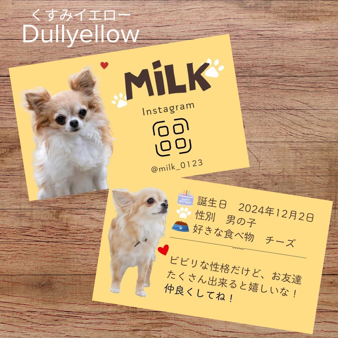 オーダー受付パネル♡りんごの中のポメラニアン 【公式通販】