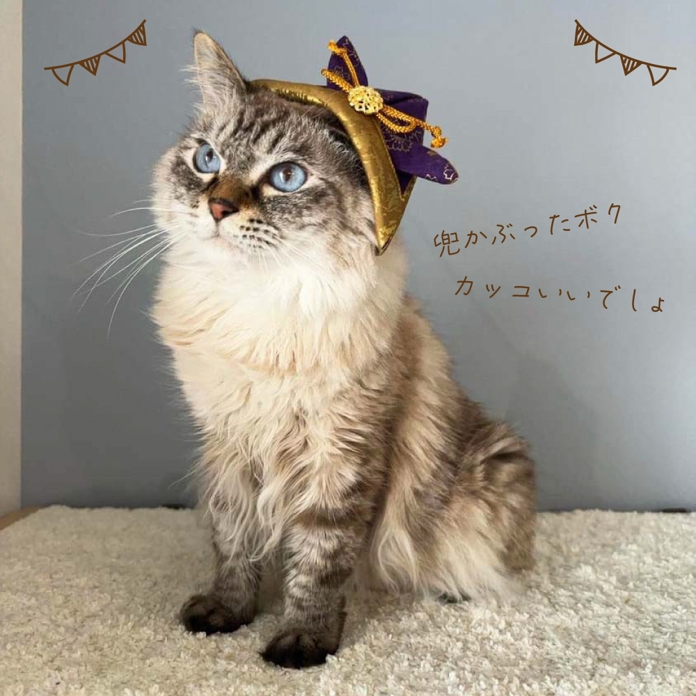 犬 猫 兜 端午の節句 犬用 猫用 ペット グッズ 愛犬 赤ちゃん
