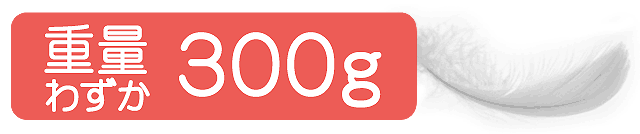 重量300g
