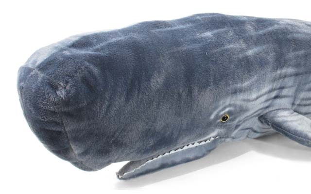 ホエール プラッシュ】 抹香鯨 (マッコウクジラ) 特大ぬいぐるみ 120cm