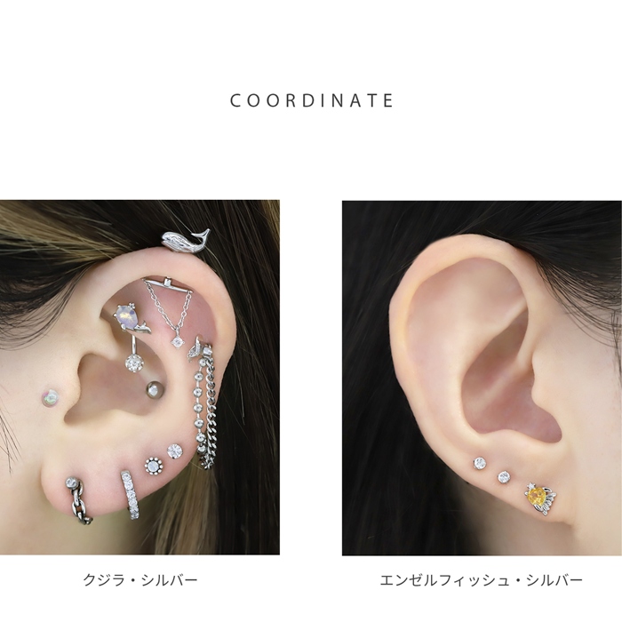 ピアス　No.4793 凛 RIN 軟骨ピアス 16G ボディピアス 海 エビ カニ タコ クラゲ