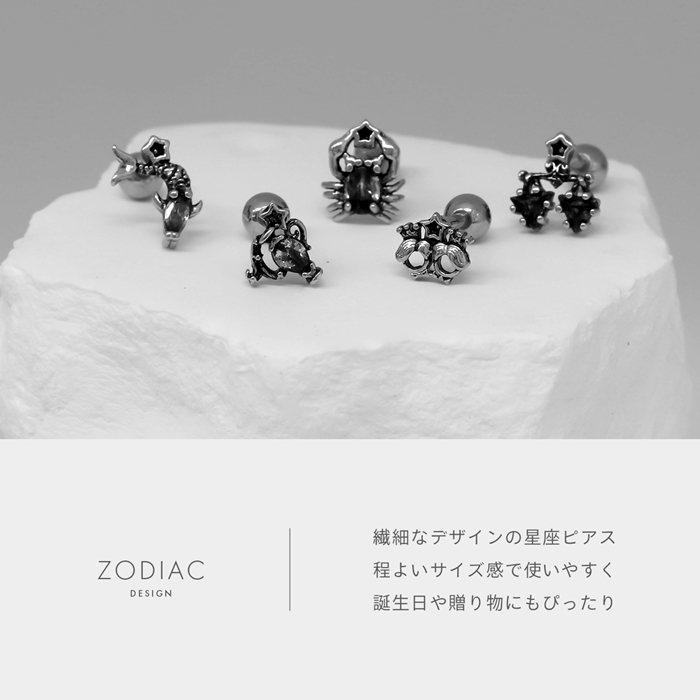 凛 RIN 軟骨ピアス 16G ボディピアス 星座 ホロスコープ 12星座 誕生月
