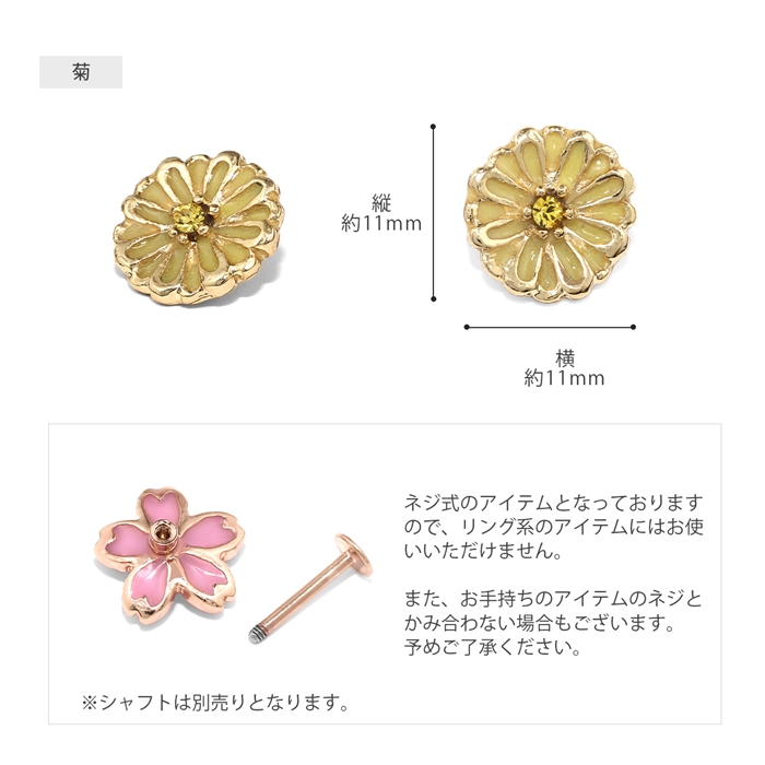 菊
