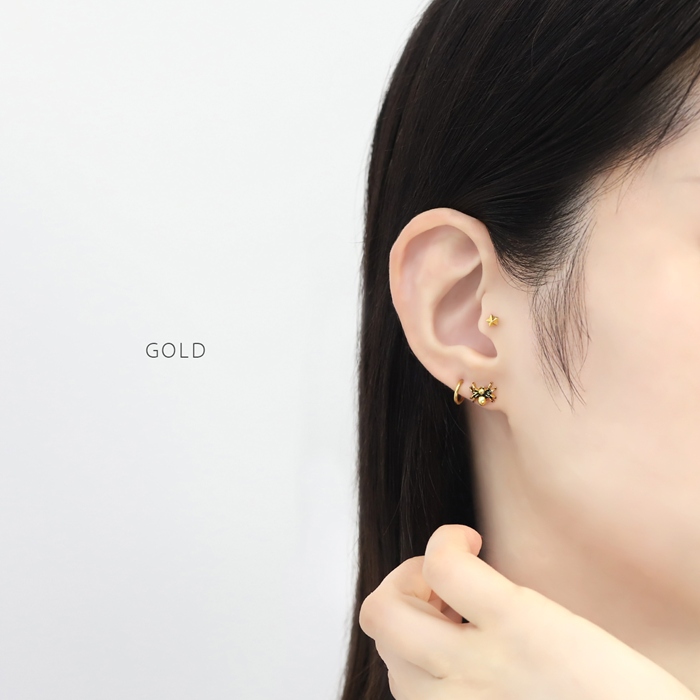 リアルな蜘蛛に釘付け！