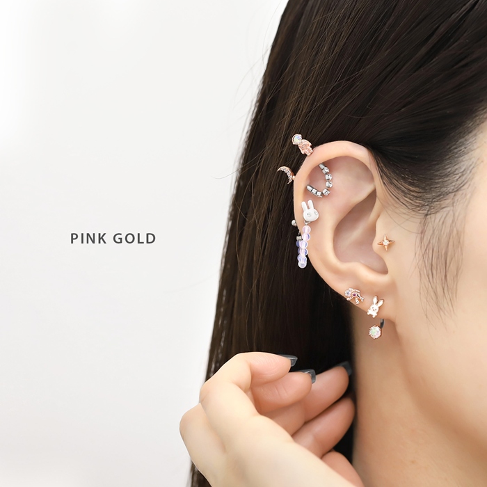 凛 RIN 軟骨ピアス 16G うさぎ 兎 ボディピアス 人参 可愛い 小さめ ストレートバーベル ステンレス 片耳用 : 凛 ボディピアス・軟骨ピアス  - 通販 - Yahoo!ショッピング