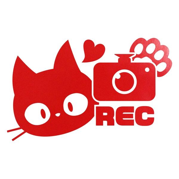 REC 猫 ドラレコ 防犯 あおり防止 カッティングステッカー 色・サイズ選択可｜rinto｜02