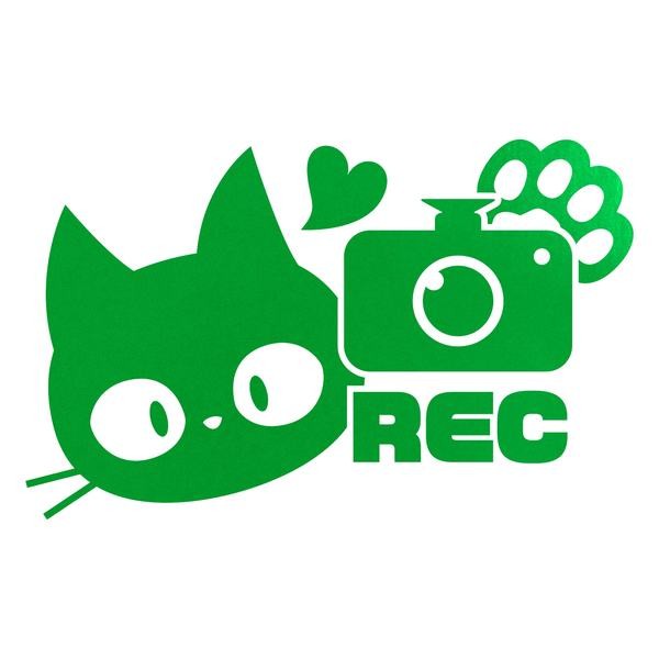 REC 猫 ドラレコ 防犯 あおり防止 カッティングステッカー 色・サイズ選択可｜rinto｜05