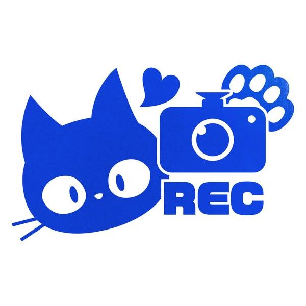 REC 猫 ドラレコ 防犯 あおり防止 カッティングステッカー 色・サイズ選択可｜rinto｜06
