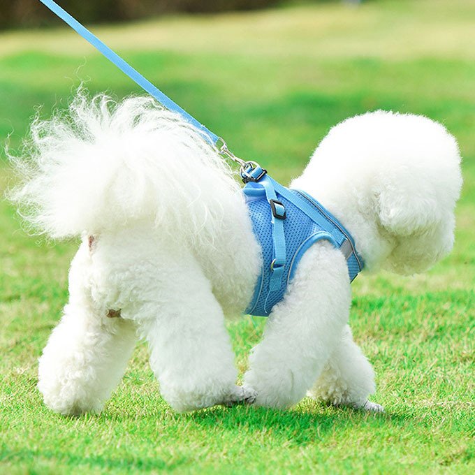 犬 猫 ハーネス 胴輪 リード付き セット 負担の少ない ハーネスリード
