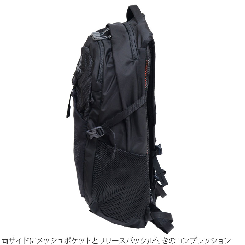 GREGORY グレゴリー リュック メンズ レディース ナノ20 NANO
