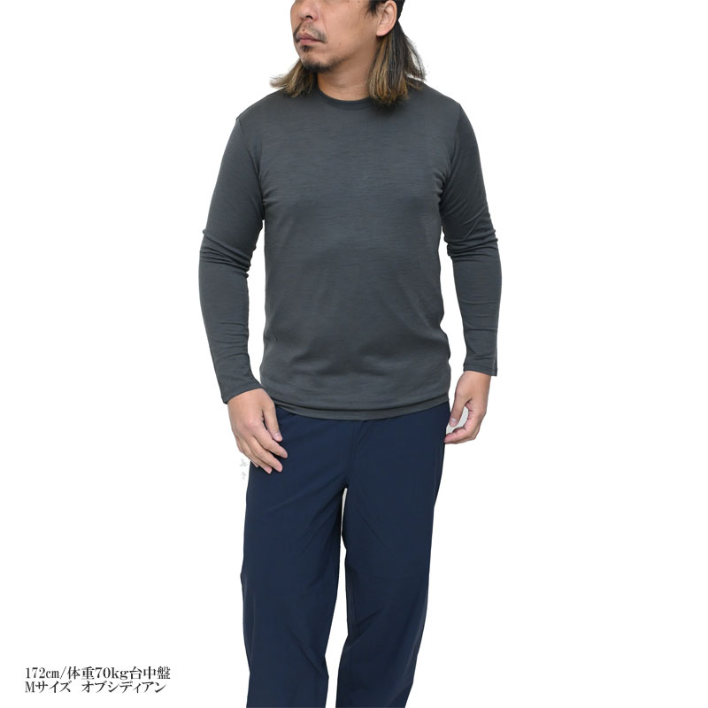 icebreaker（アイスブレーカー） icebreaker Tシャツ 長袖 メンズ