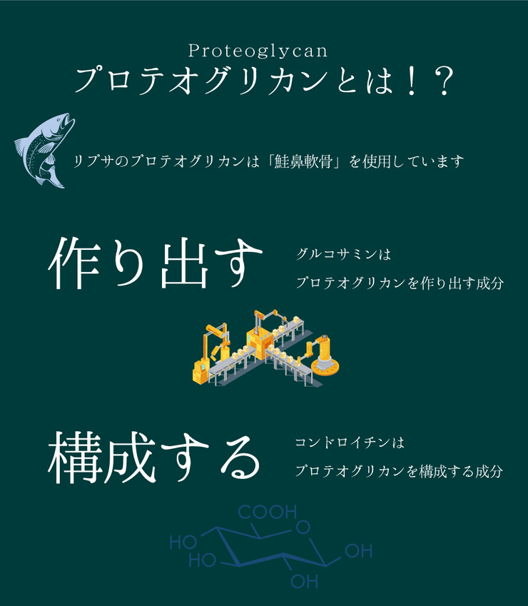 プロテオグリカン(2)