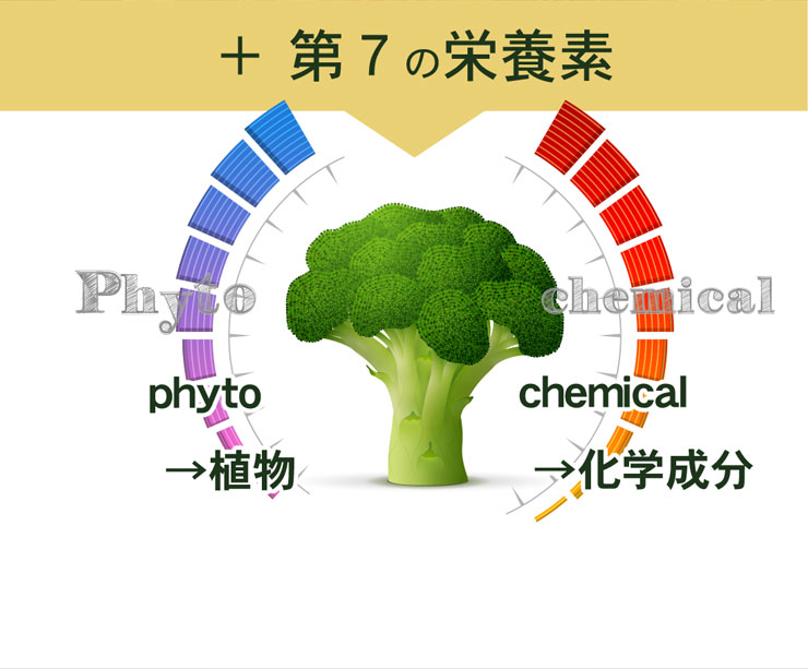 スルフォラファン(5)