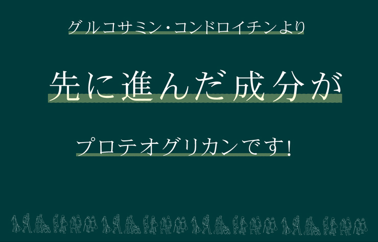 プロテオグリカン(3)