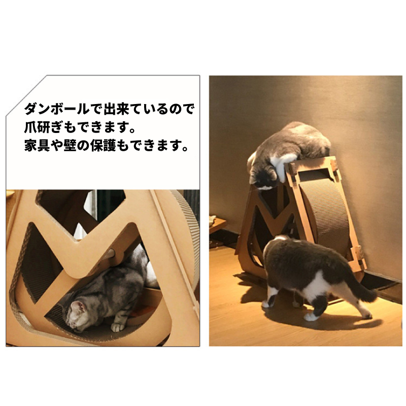 珍しい キャッツ エクササイズホイール Lサイズ 成猫用 ダンボール ダイエット キャットウィール ランニングマシン 送料無料 高速配送 Altammamfactory Com Jo