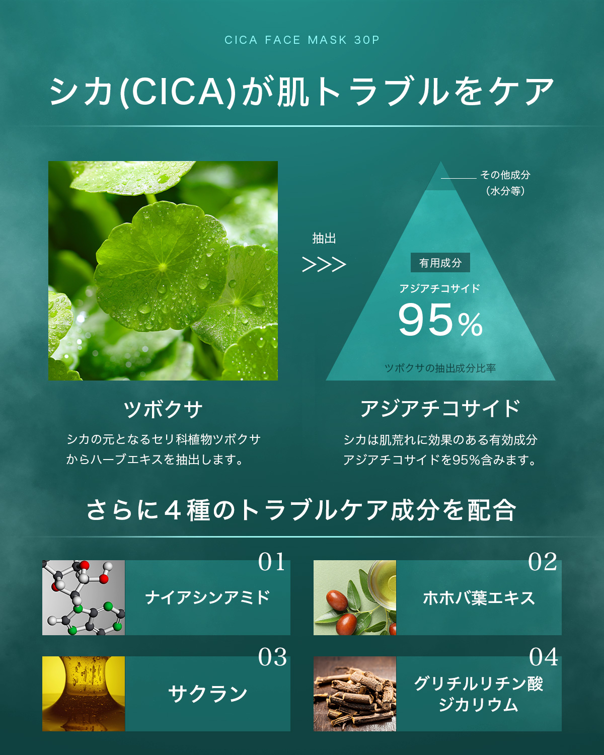 cp2-2.jpg