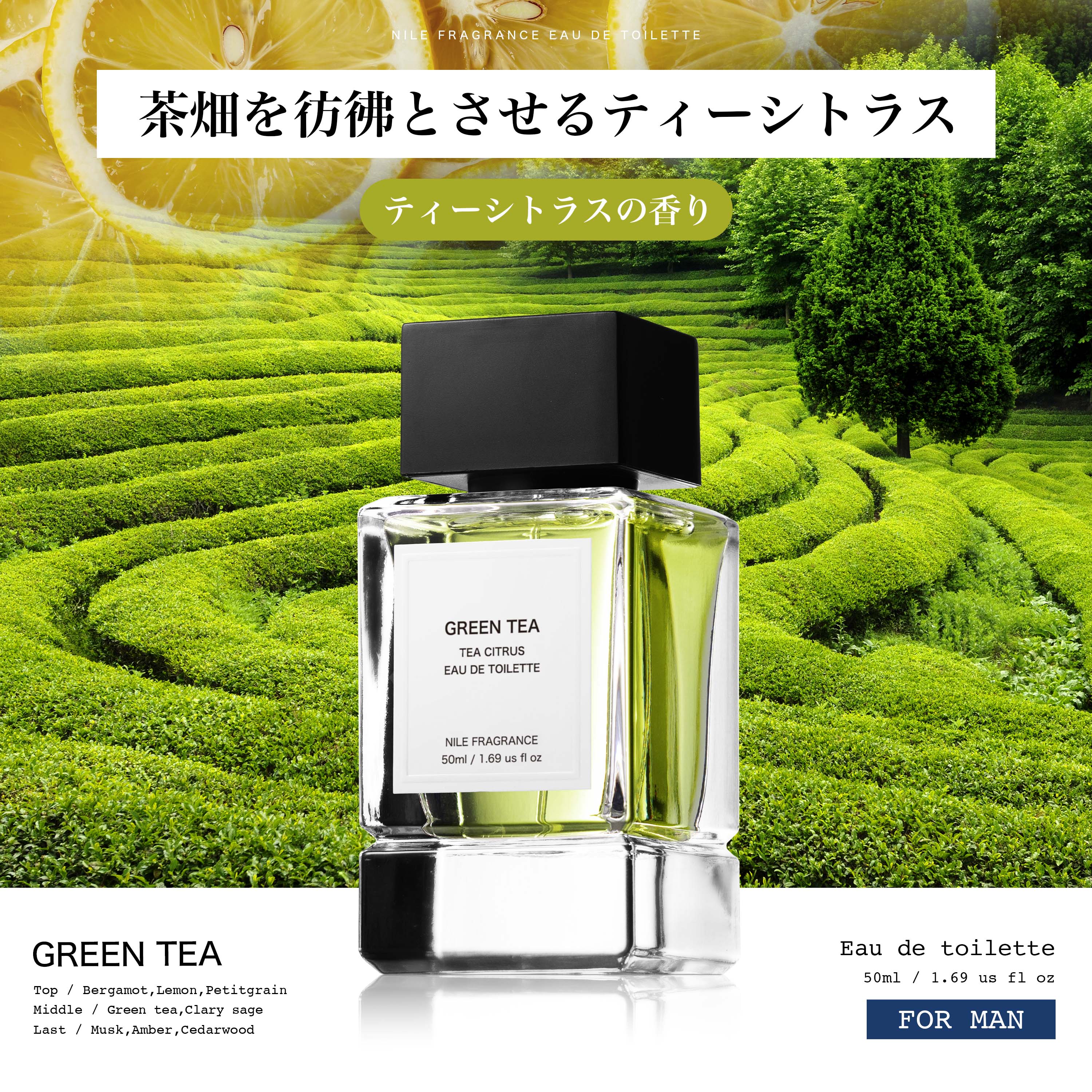 Nile 香水 フレグランス オードトワレ メンズ 男性用 50mL : NILE