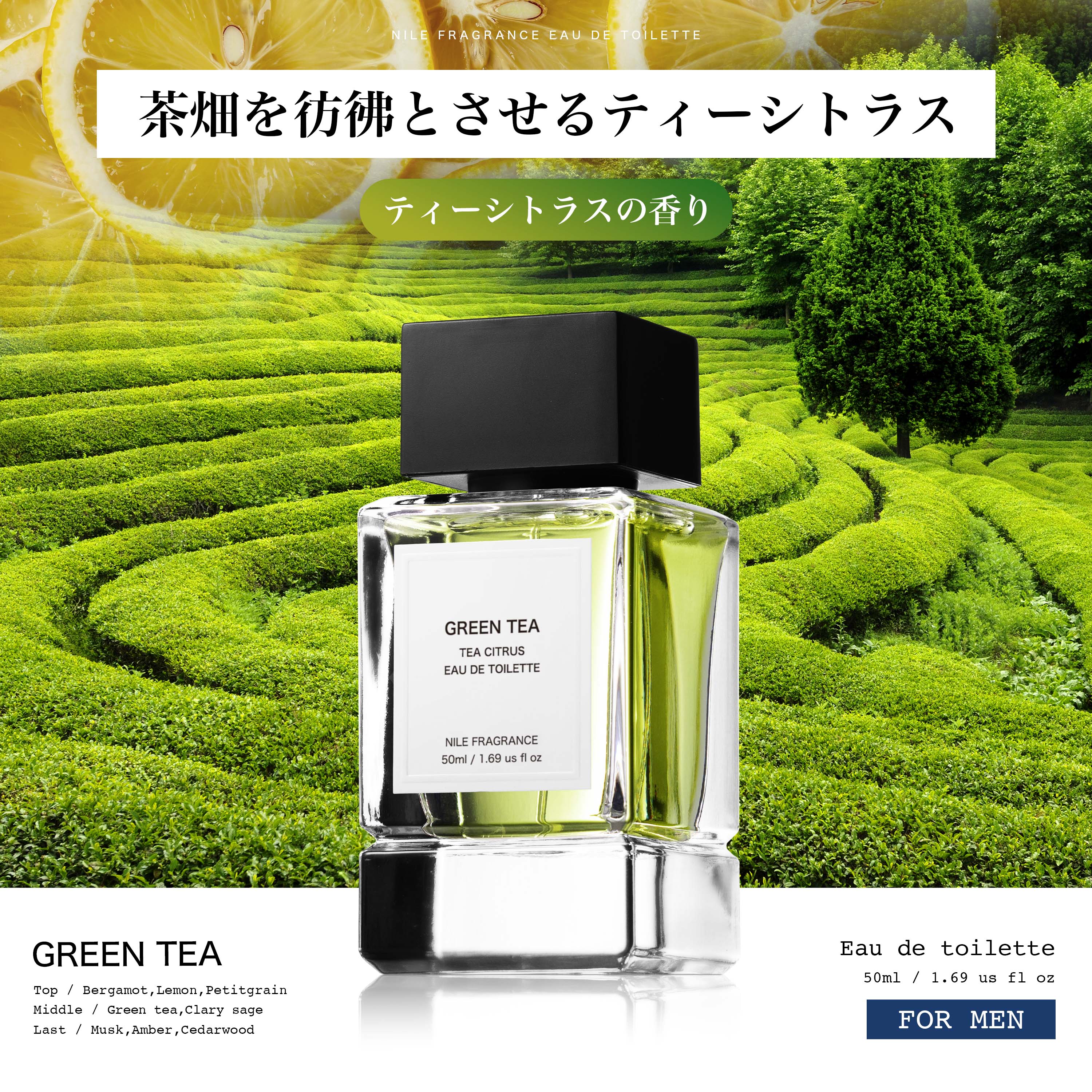 Nile 香水 フレグランス オードトワレ メンズ 男性用 50mL : NILE
