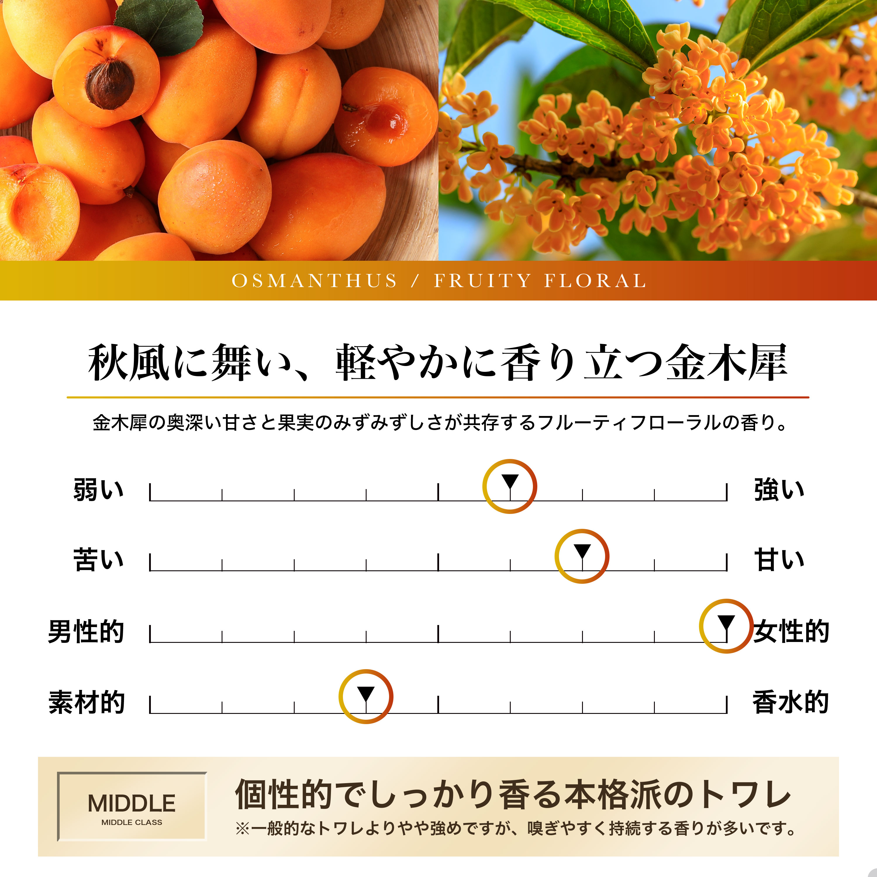 Nile（コスメ） NILE 香水 フレグランス オードトワレ