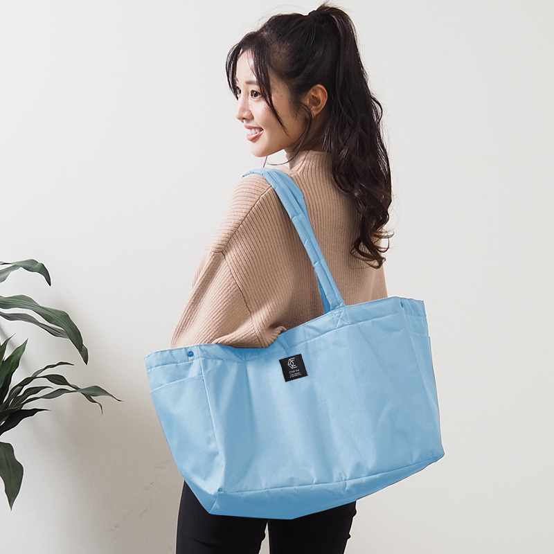 レジカゴ バッグ エコバッグ おしゃれ 保冷 大容量 折りたたみ 自立 ぴったり 折り畳み 通販ショップ ライズ 通販 Paypayモール