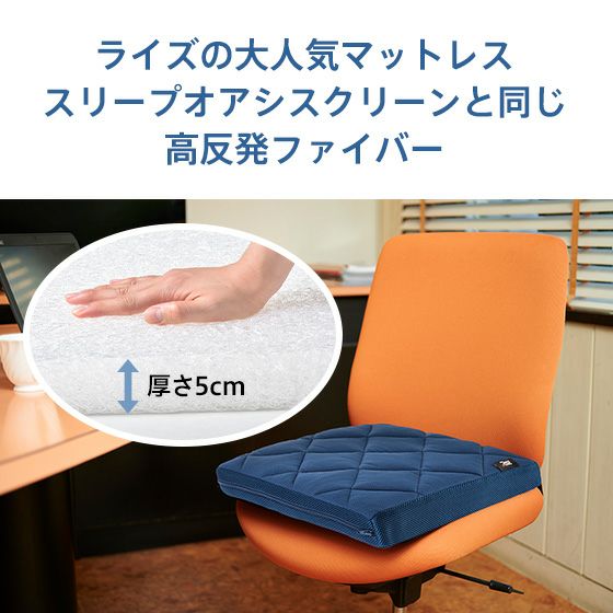 ライズ東京 洗える シートクッション 5.0 V02 スリープオアシス 高反発
