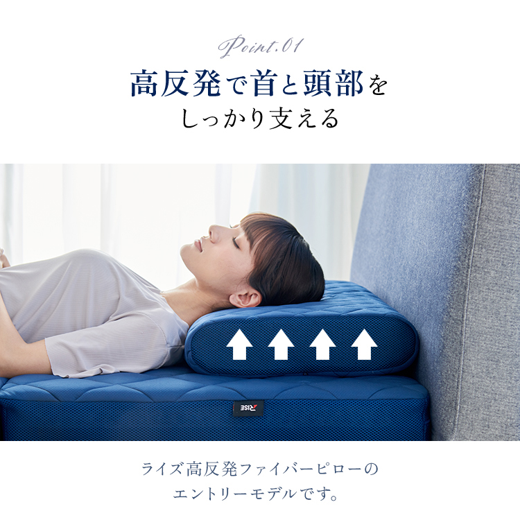 ライズ東京 全部洗える スタンダードコンディショニングピロー