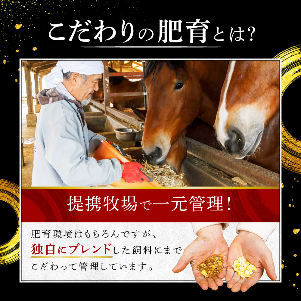 馬刺し 熊本 6種食べ比べ 翔 醤油付 6人前 300g 馬肉 大トロ 中トロ 赤身馬刺し 赤身 ギフト 肉 父の日 ギフト｜ritafoods-basasi｜04