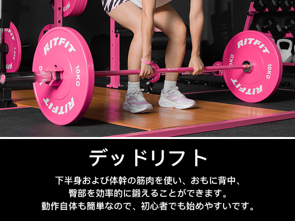 RITFIT 重量プレート バンパープレート オールラバー