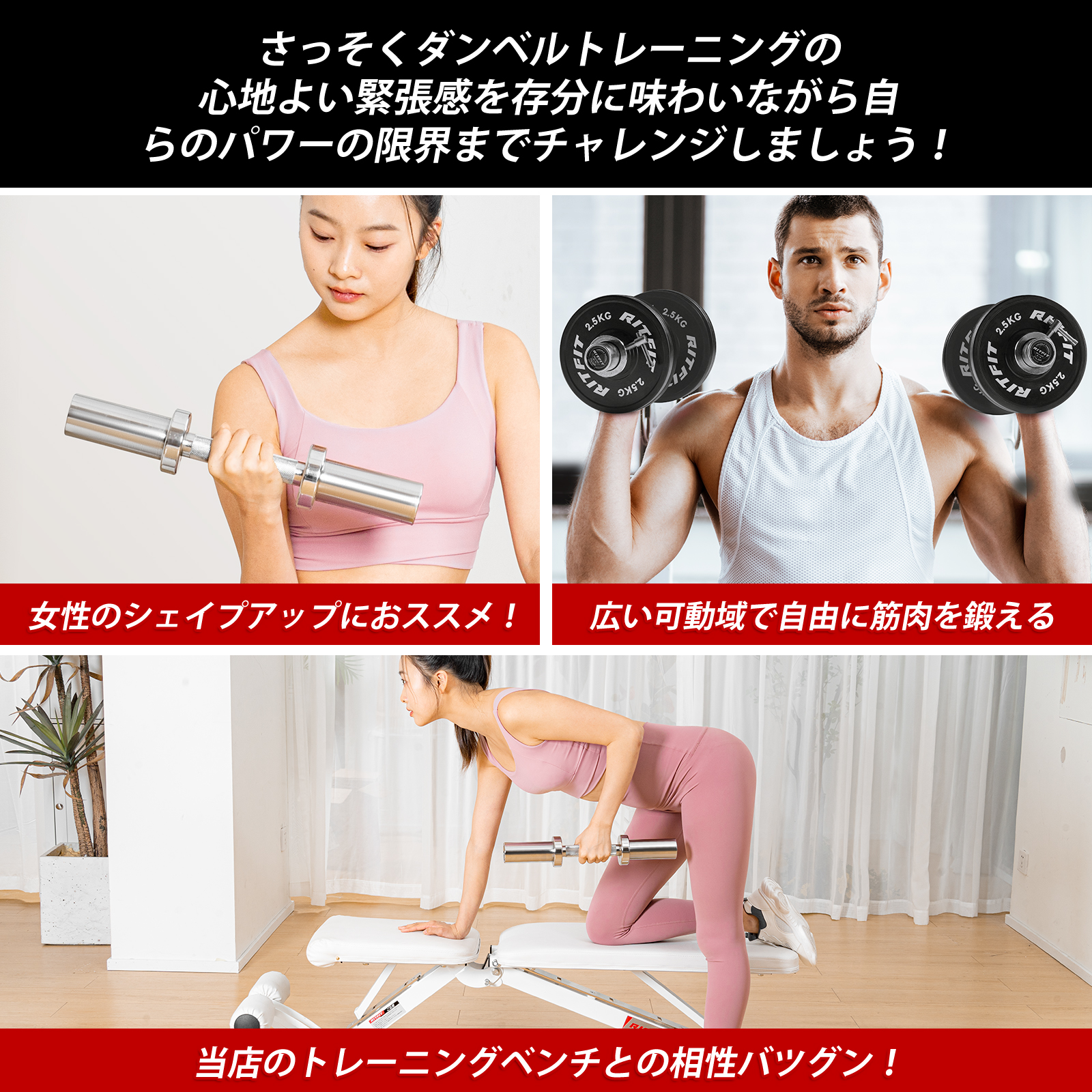 即納 RITFIT ダンベル ステンレス製 バーベルシャフト 2個セット ペア 筋トレ ホームジム 家庭用 鉄アレイ 一体成型 コンパクト 収納便利 スチール｜ritfit｜10