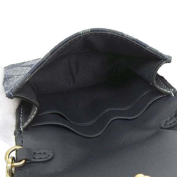 COACH（コーチ） マイクロバッグ ミニバッグ レディース アウトレット