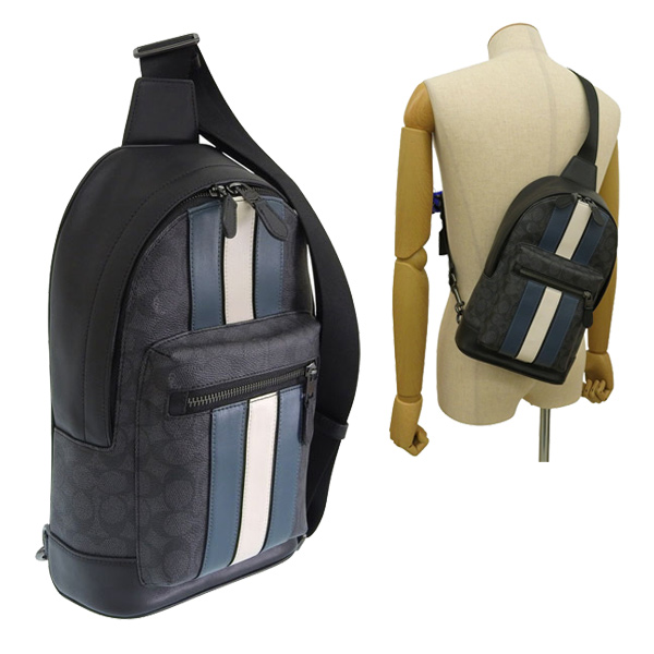 コーチ(COACH) ストライプ バッグ | 通販・人気ランキング - 価格.com