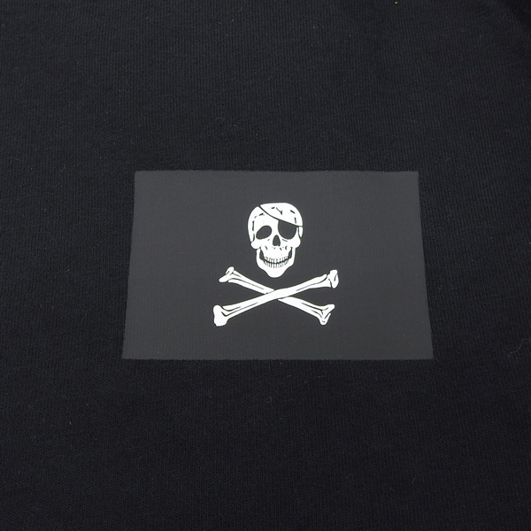 THE NORTH FACE（ザ ノースフェイス） ノースフェイス Tシャツ メンズ