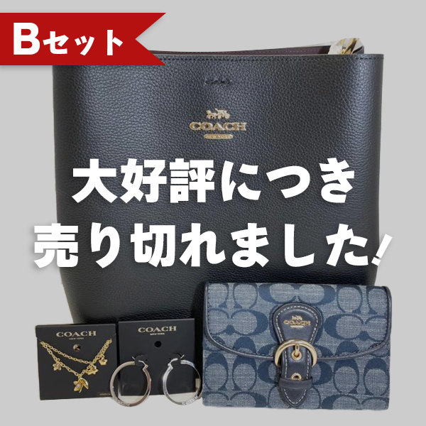 【先着5セット限定】豪華4点セット コーチ バッグ 財布 ネックレス ピアス ベルト レディース ショルダーバッグ アウトレット ブランド福袋  セット商品