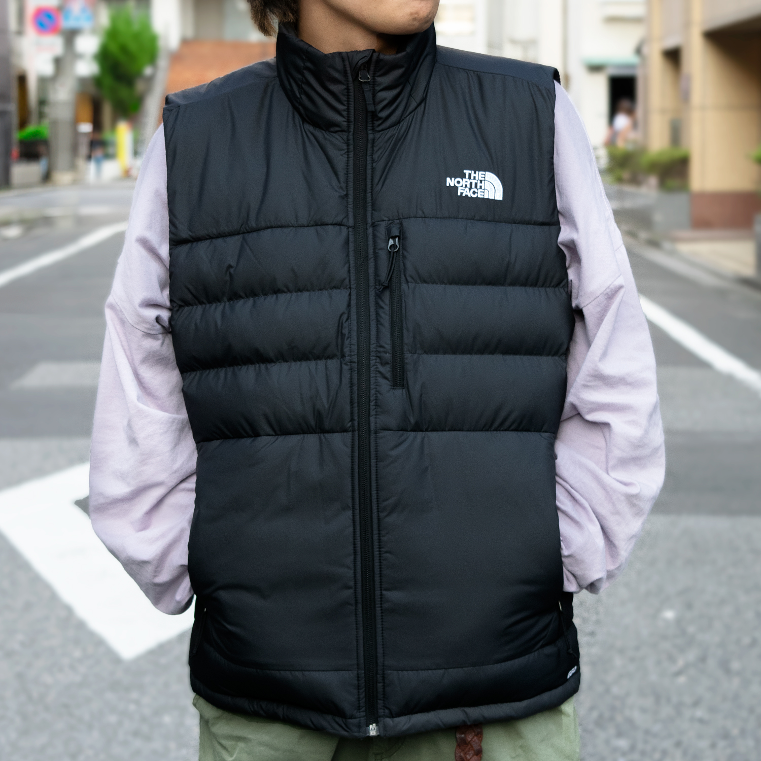 ノースフェイス ダウンベスト メンズ アコンカグア 2 ACONCAGUA 2 VEST NF0A4R2F THE NORTH FACE