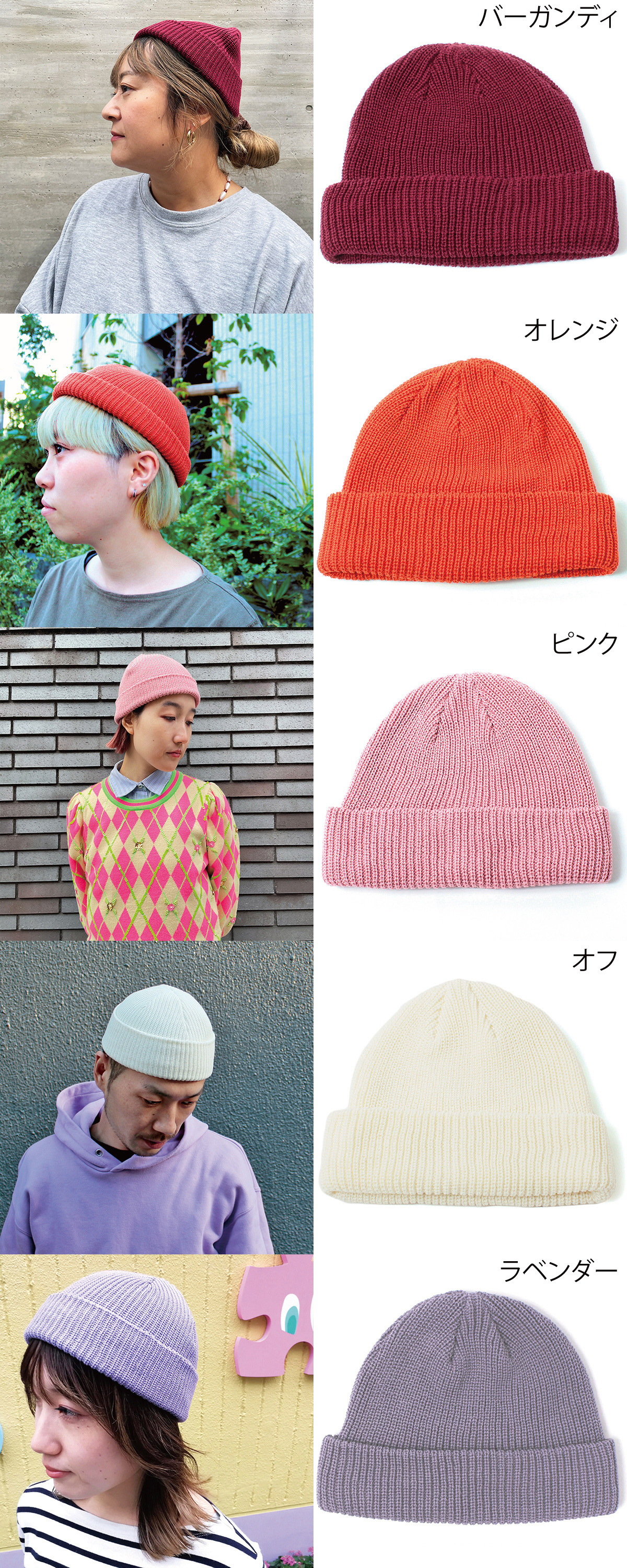 モデルと物画像2