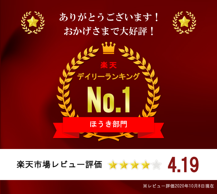 5玉長柄箒（ロング　95cm）ランキング