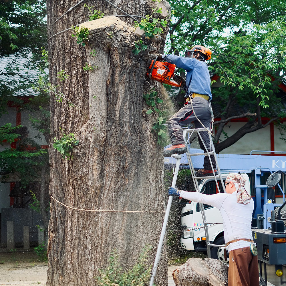 まな板 いちょう 日本製 | MANAITA Sサイズ WONDER WOOD 東京 国産
