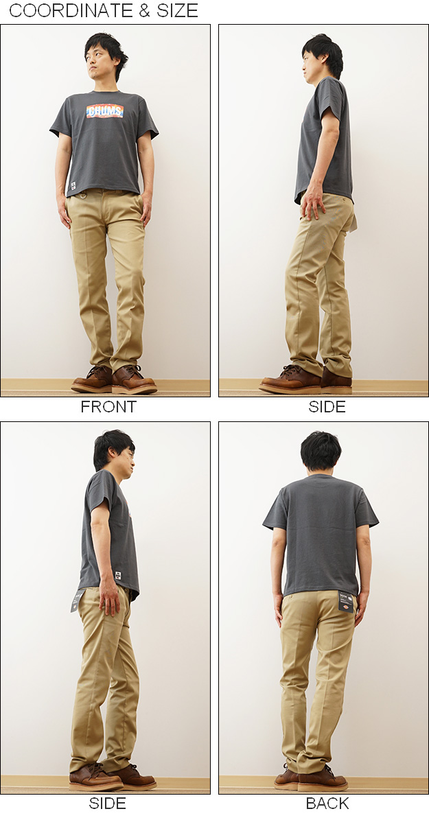 CHUMS チャムス Tシャツ メンズ ロゴ スターズ アンド ストライプ 半袖 ボックスロゴ キャンプ 登山 丈夫 おしゃれ ワンポイント 大きい サイズ XL CH01-2388 | CHUMS | 01