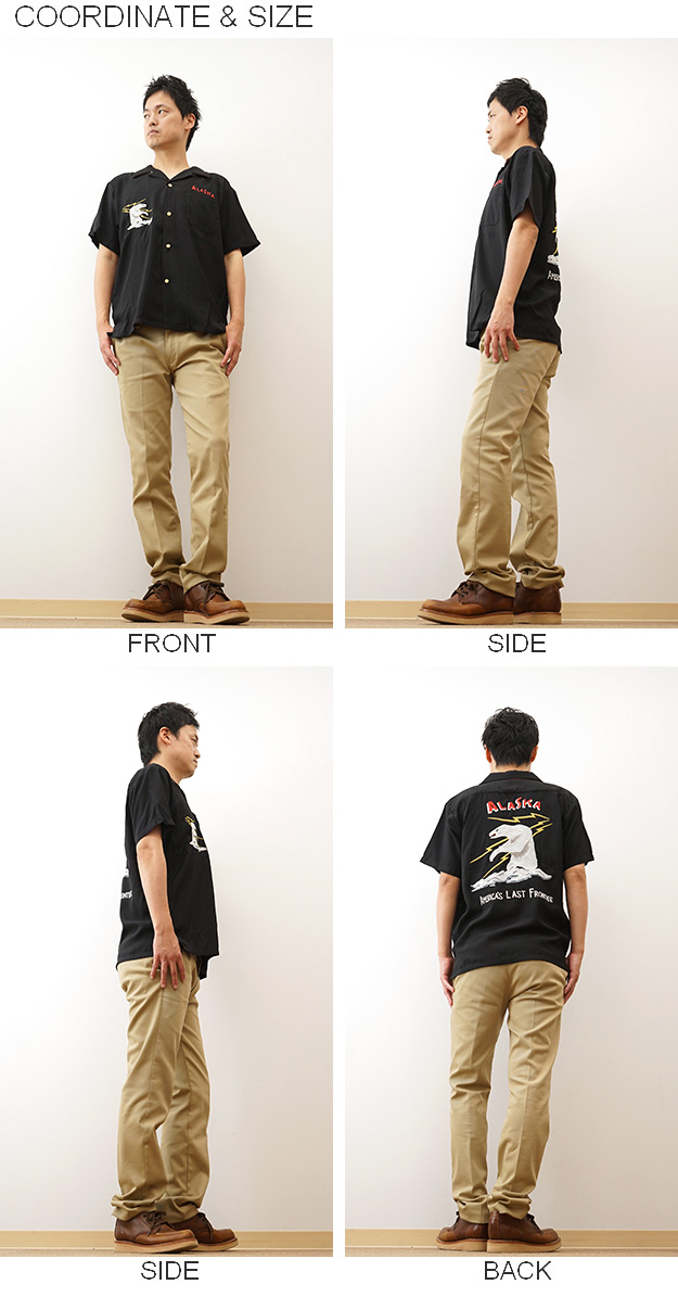 HOUSTON（ヒューストン） スーベニア シャツ アラスカ メンズ 半袖