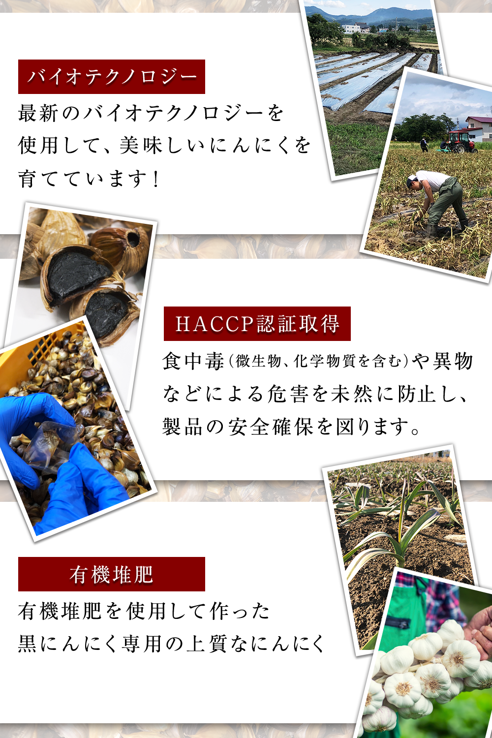 黒にんにく 青森県産 糖度60度 かぐや農園 お得な訳あり500g 国産 甘い