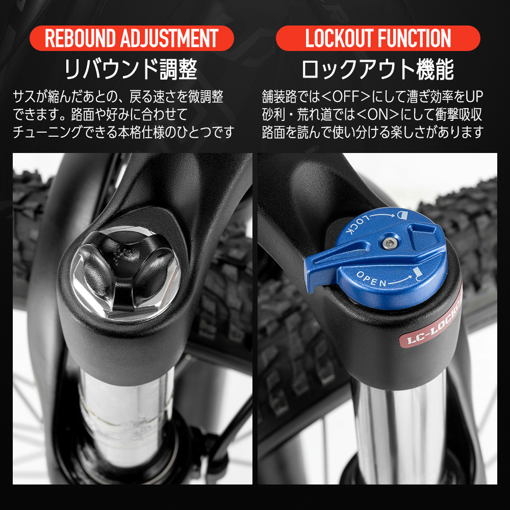 ROCKBROS 子供用自転車 24インチ ダーウィン 小学生 中学生 男の子