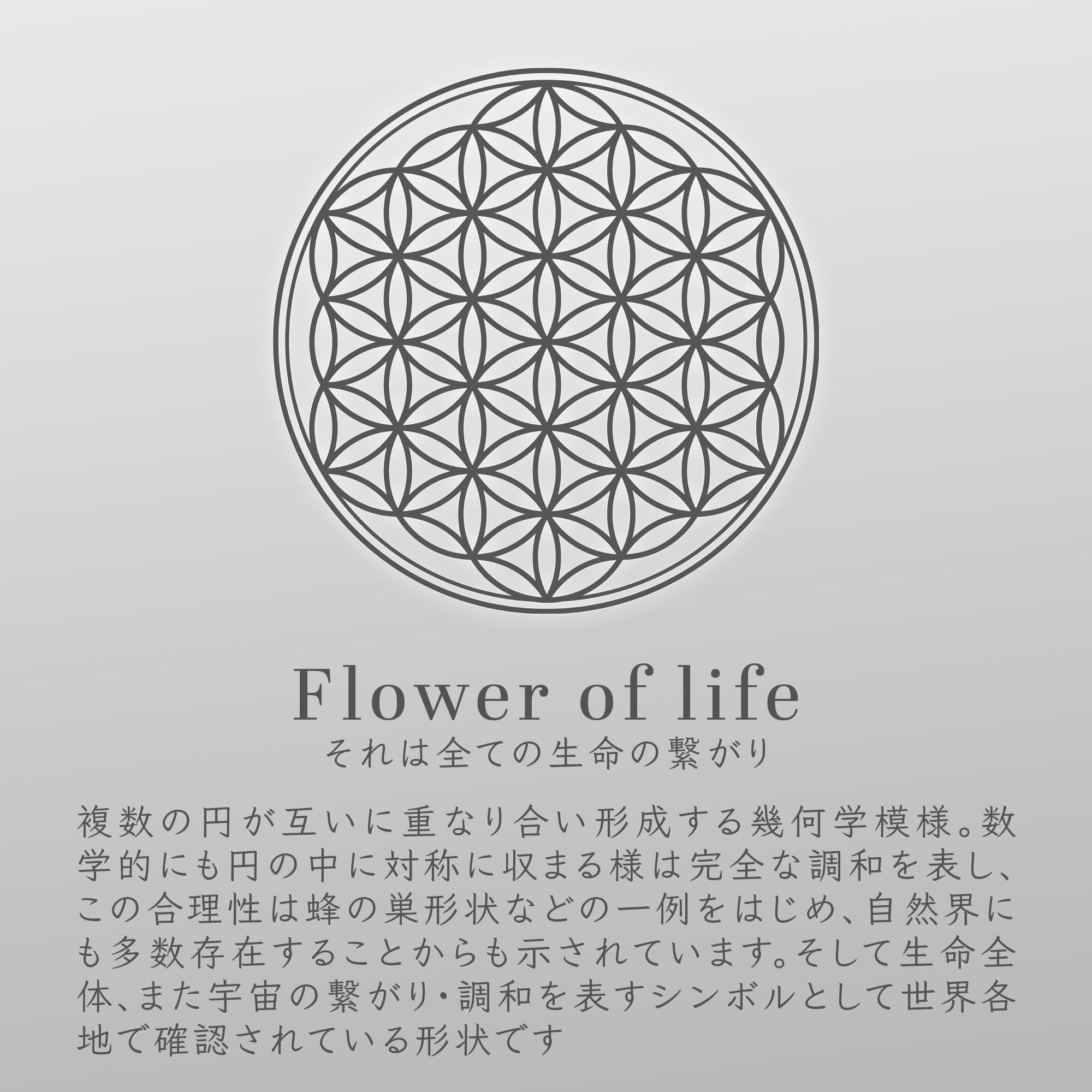 コースター おしゃれ 木製 フラワーオブライフ 5枚セット ウッド オシャレな神聖幾何学模様のコースター アジアン キッチン バー DANNY LIB