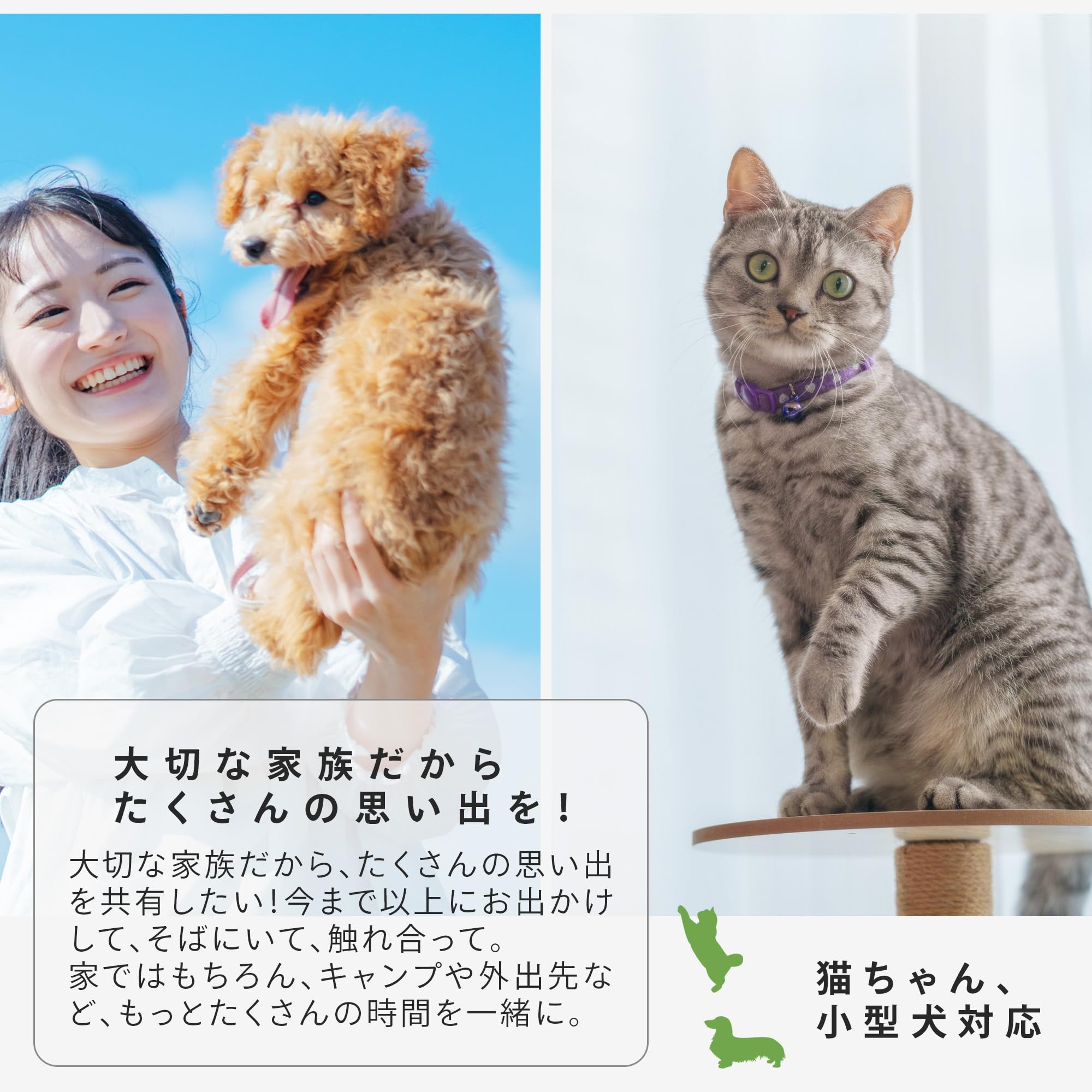 ペットテント 折りたたみ式 ペットキャンプ ペットハウス ベッド 小型