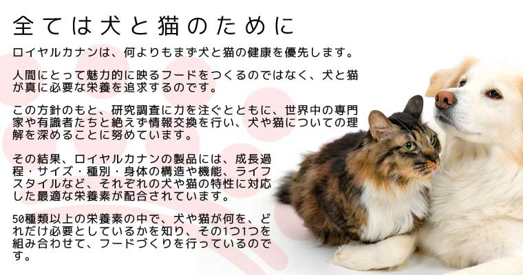 トムキャットYahoo!店 - ロイヤルカナン｜Yahoo!ショッピング