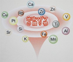 プラチナウェーブ ミニパッド葵 : 総合通販のロコ - 通販 - Yahoo