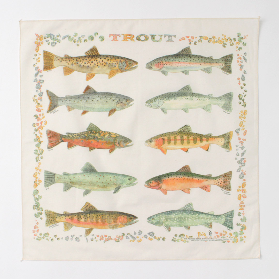 THE PRINTED IMAGE（ザ プリンテッドイメージ） ネイチャープリントバンダナ / ハンカチ 大判 54cm 55cm コットン 綿100 | The Printed Image | 04